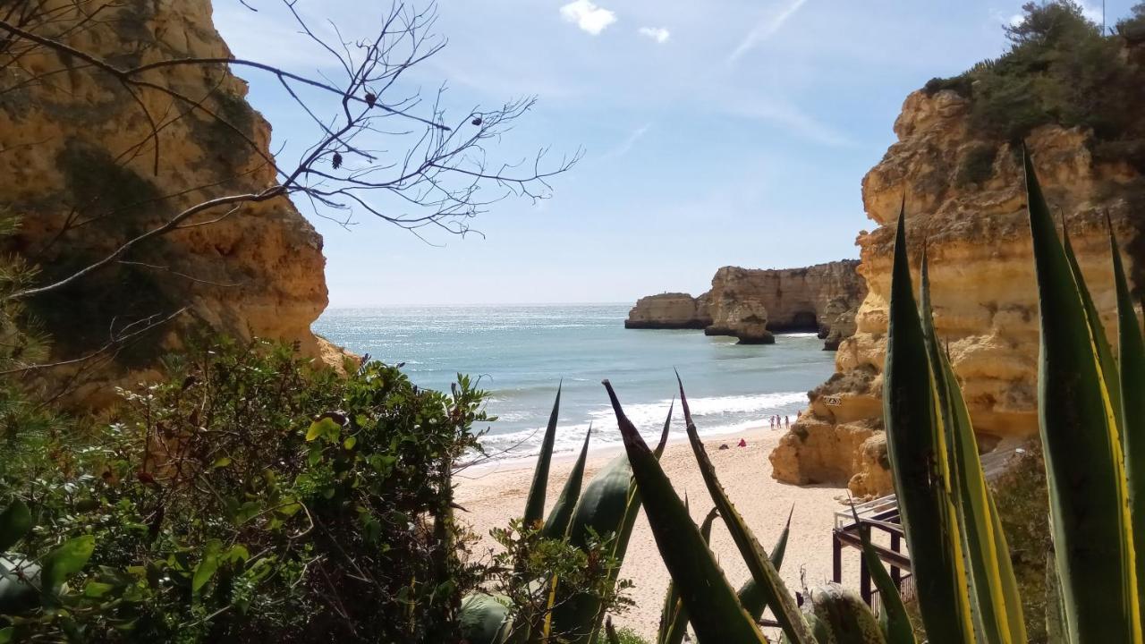 Albufeira Beach Apartment Buitenkant foto